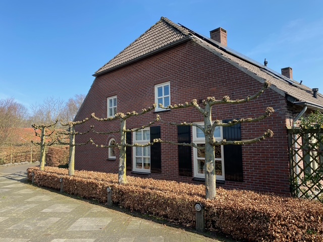 koop  Volkel  Maatseheistraat 9 – Foto 2