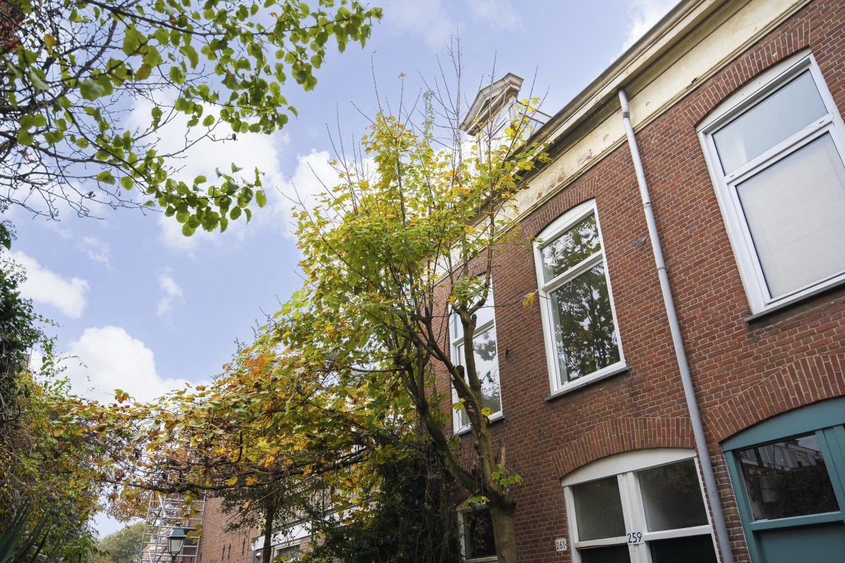 Te koop: Foto Appartement aan de Newtonstraat 259 in 's-Gravenhage