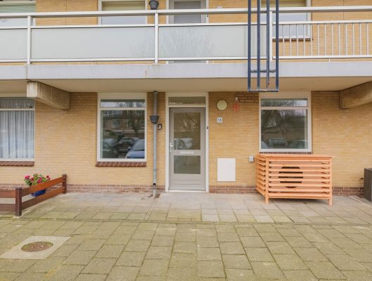 Hoofdfoto van Noordwijk Springtij 38