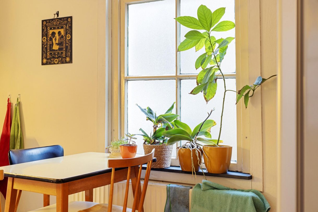 Te koop: Foto Appartement aan de Nieuwstadskerksteeg 11a in Zutphen