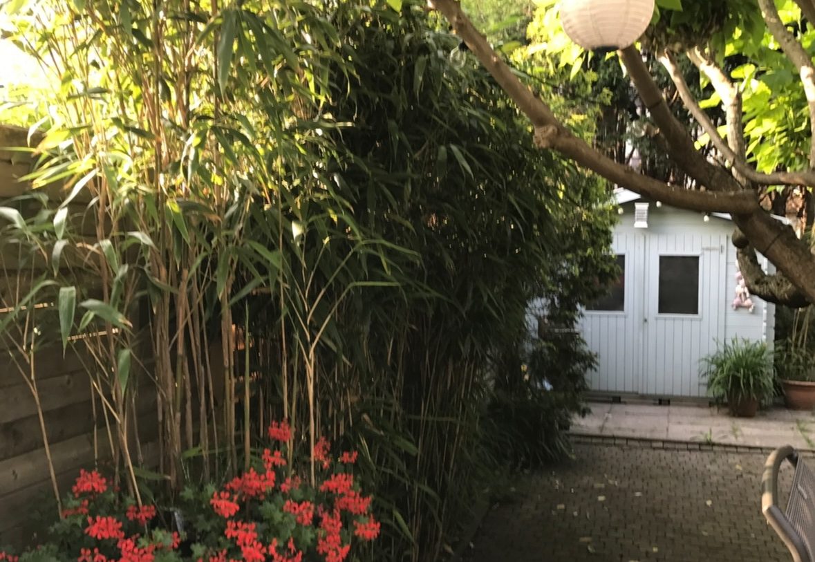 Te koop: Foto Woonhuis aan de Lavendelveld 23 in Schiedam