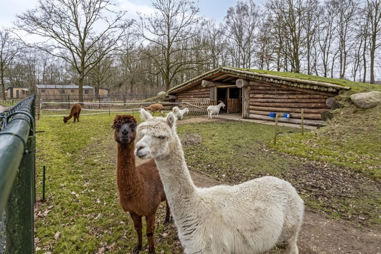 Te koop: Foto Woonhuis aan de Hyacinth 108 in Vinkel