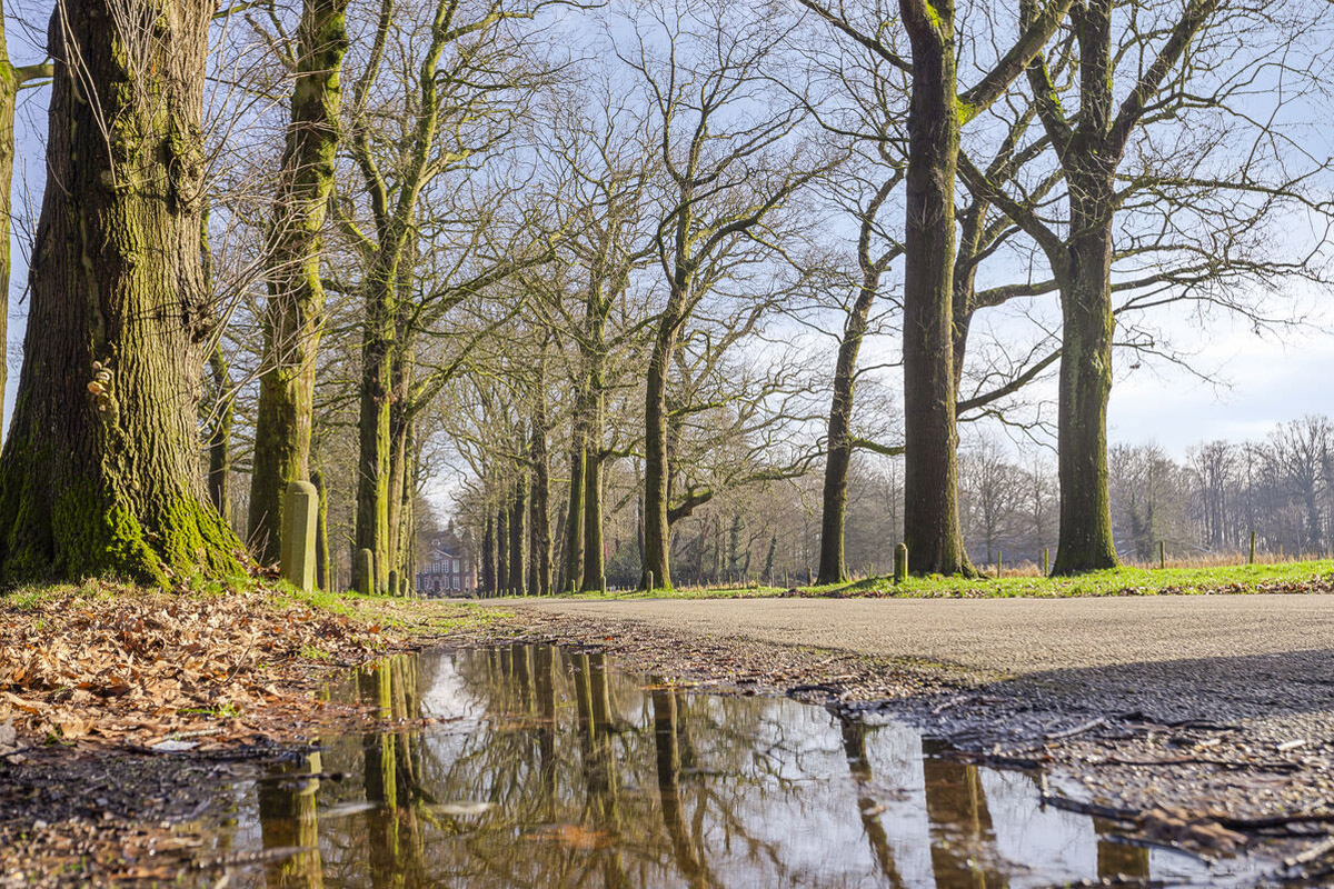 Te koop: Foto Appartement aan de Middelhagenhof 110 in Velp