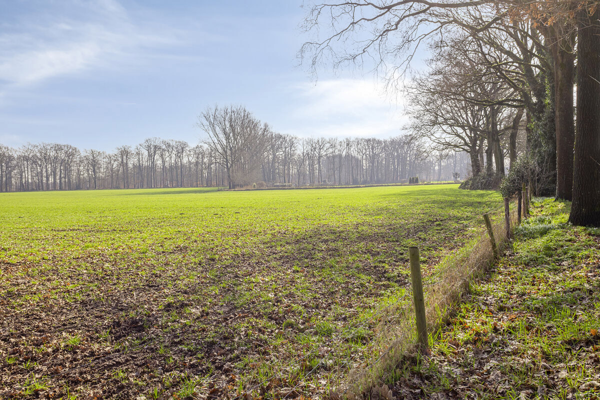 Te koop: Foto Appartement aan de Middelhagenhof 110 in Velp