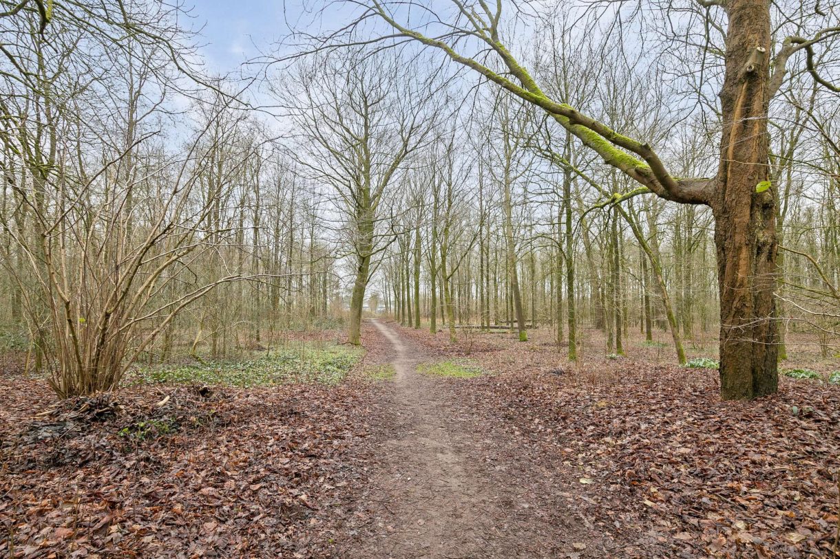 Te koop: Foto Woonhuis aan de Looierstraat 6 in Best