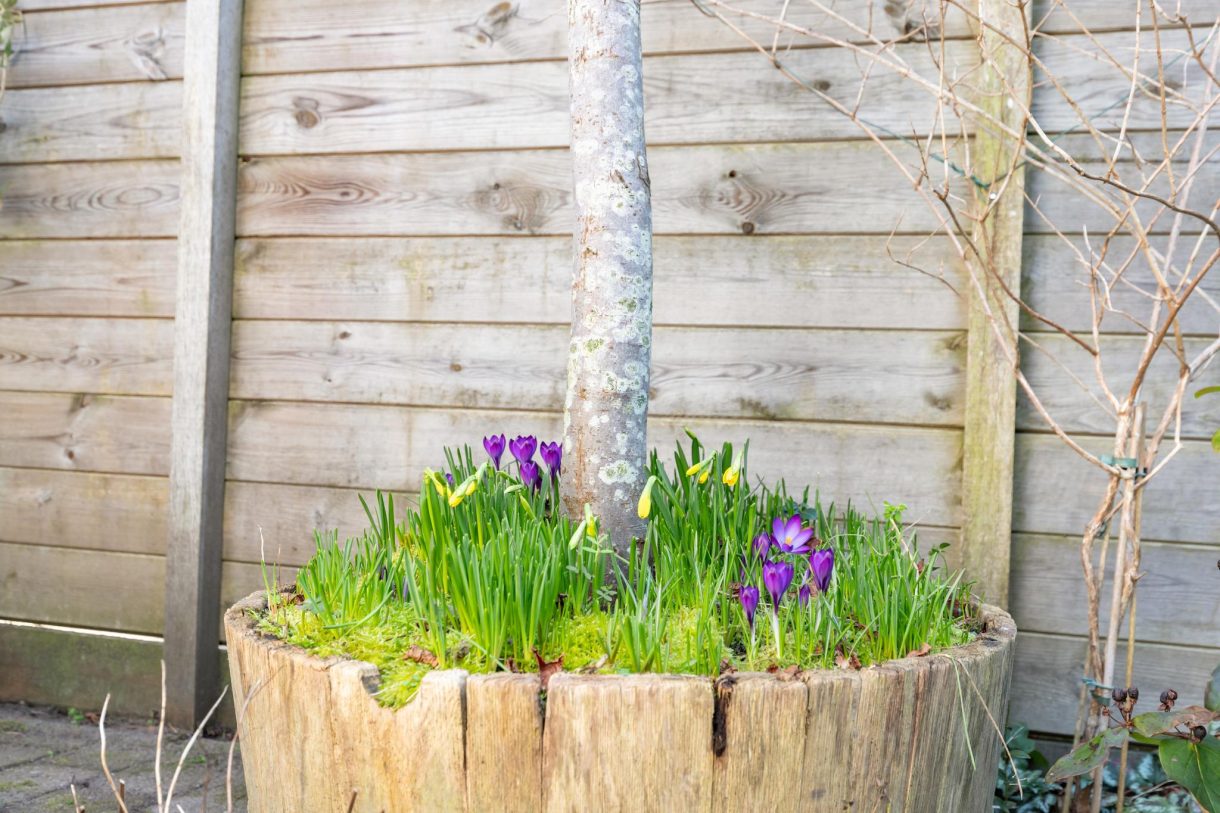 Te koop: Foto Woonhuis aan de Jozef Israelslaan 42 in Woerden