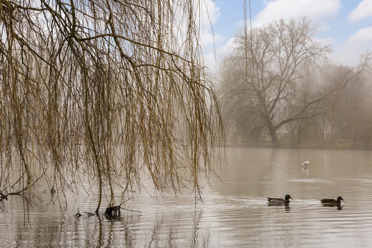 Te koop: Foto Woonhuis aan de Standerdmolen 4 in Harmelen