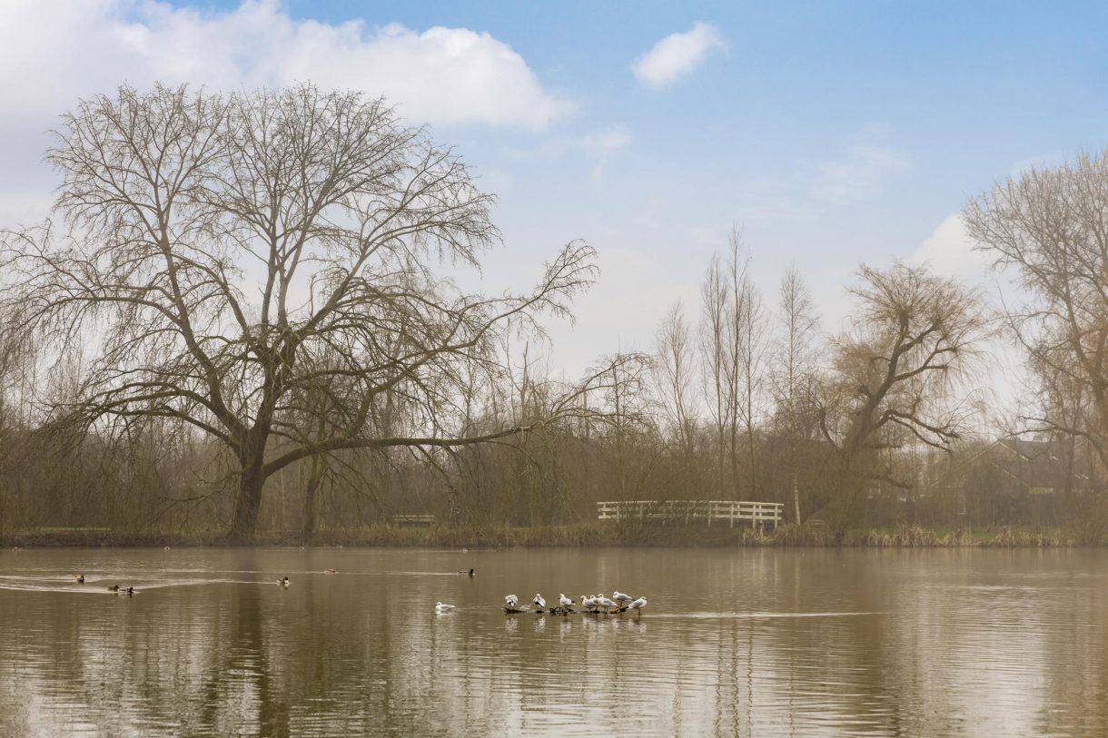 Te koop: Foto Woonhuis aan de Standerdmolen 4 in Harmelen