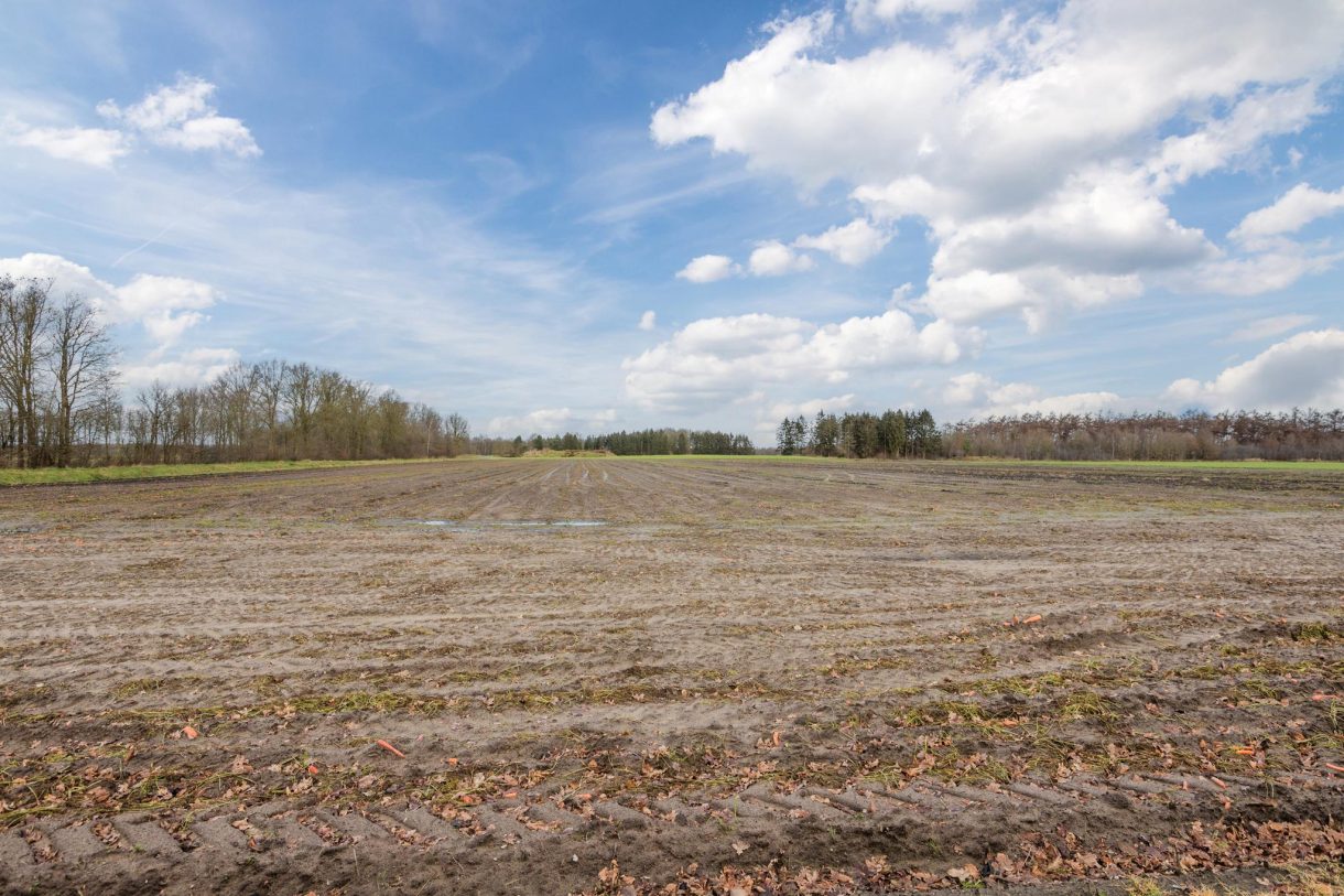 Te koop: Foto Woonhuis aan de Vorrelveen 22 in Beilen