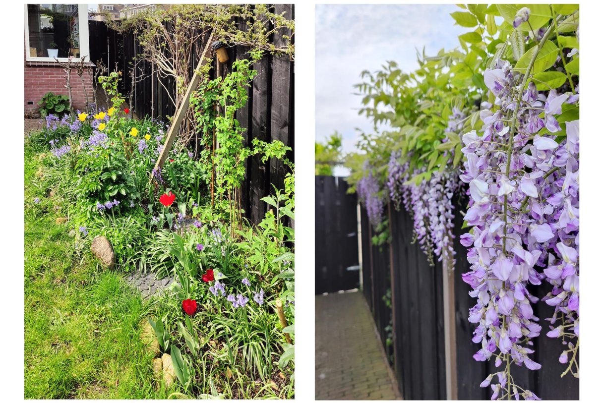 Te koop: Foto Woonhuis aan de Pinksterblomstraat 83 in Schermerhorn