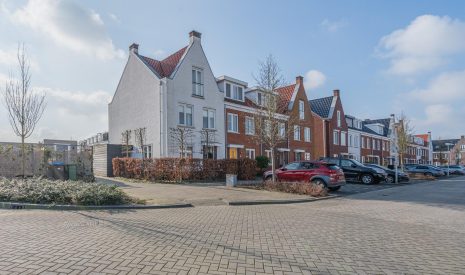 Hoofdfoto van Bodegraven Penningkruid 2