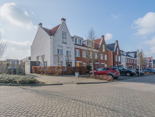 Hoofdfoto van Bodegraven Penningkruid 2