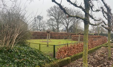 Te koop: Foto Bouwgrond aan de Franciscanessenstraat ong in Molenhoek