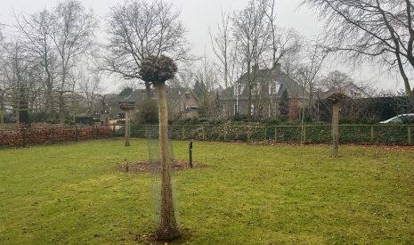 Te koop: Foto Bouwgrond aan de Franciscanessenstraat ong in Molenhoek