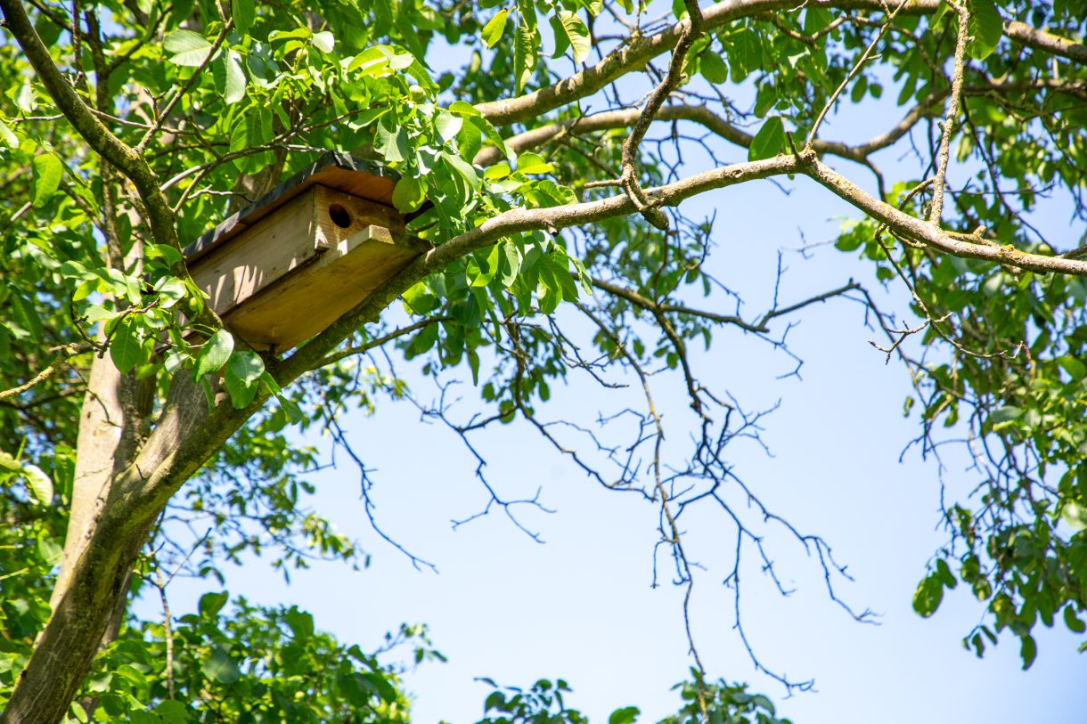Te koop: Foto Woonhuis aan de Apenhorsterweg 2 in De Heurne