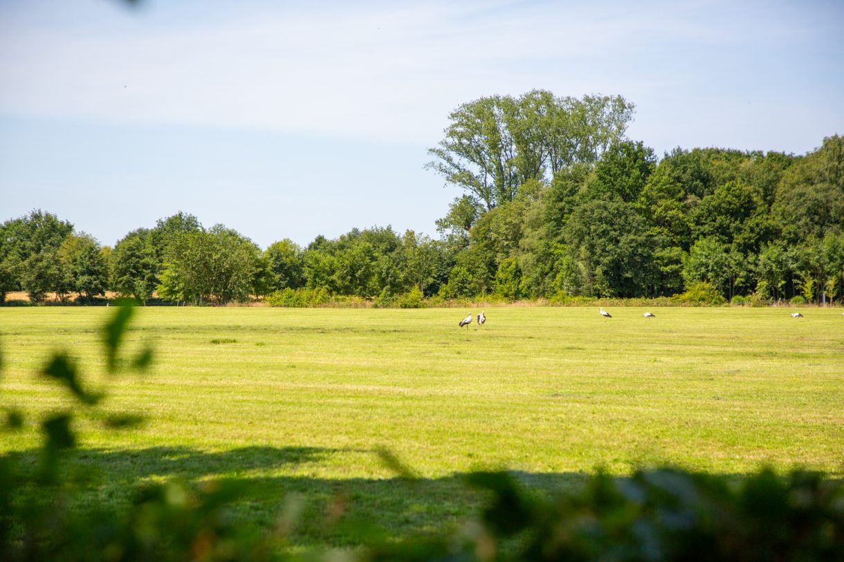 Te koop: Foto Woonhuis aan de Apenhorsterweg 2 in De Heurne