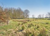 koop  Elim  Langewijk 2 – Foto 2