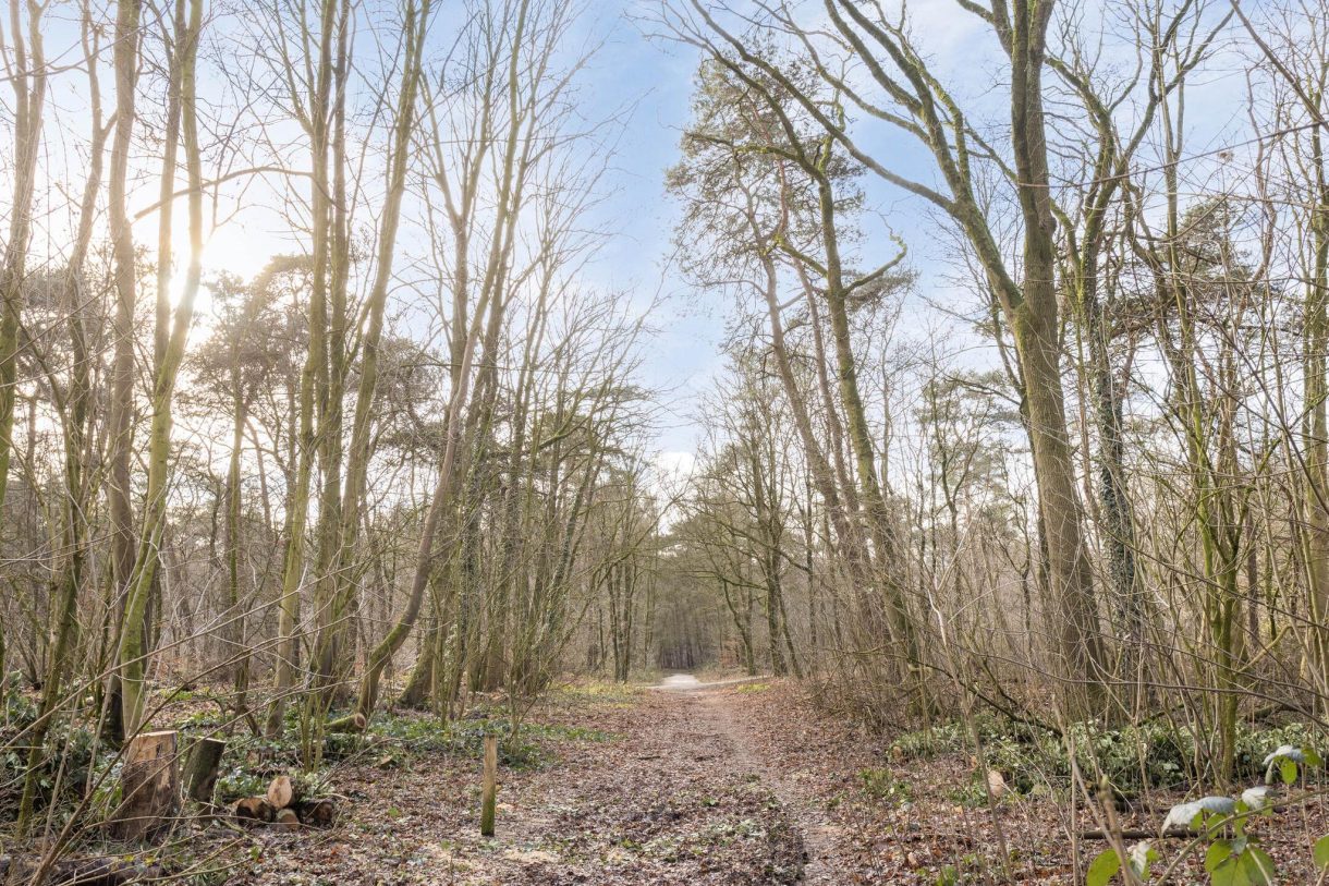 Te koop: Foto Woonhuis aan de Pastoor van Houtstraat 12 in Odiliapeel