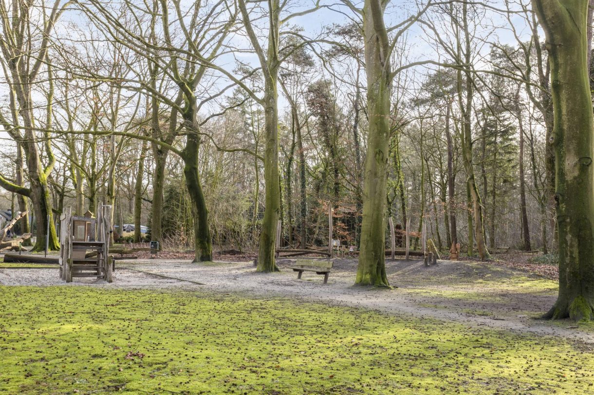 Te koop: Foto Woonhuis aan de Pastoor van Houtstraat 12 in Odiliapeel