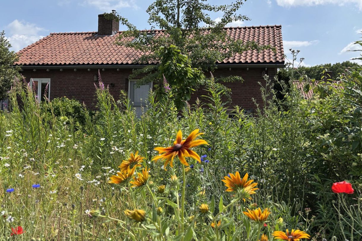 Te koop: Foto Woonhuis aan de Pastoor van Houtstraat 12 in Odiliapeel