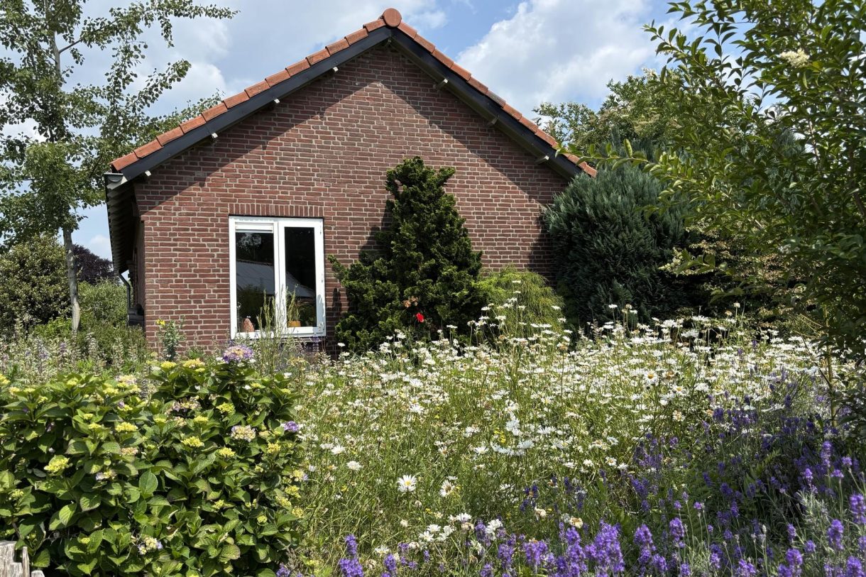 Te koop: Foto Woonhuis aan de Pastoor van Houtstraat 12 in Odiliapeel