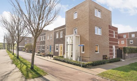 Hoofdfoto van Hoogeveen Citroenvlinder 75