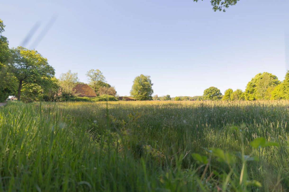 Te koop: Foto Woonhuis aan de Hogestraat 3 in Hall