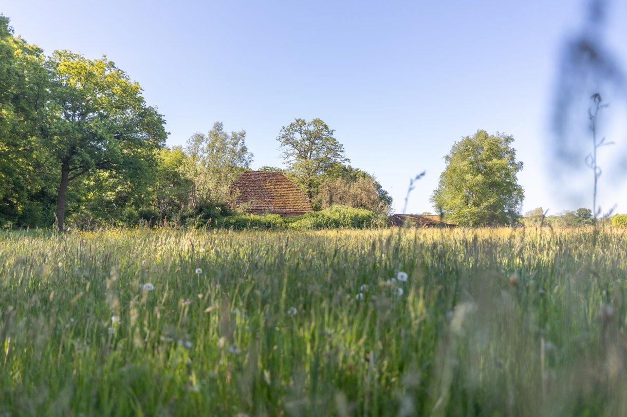 Te koop: Foto Woonhuis aan de Hogestraat 3 in Hall