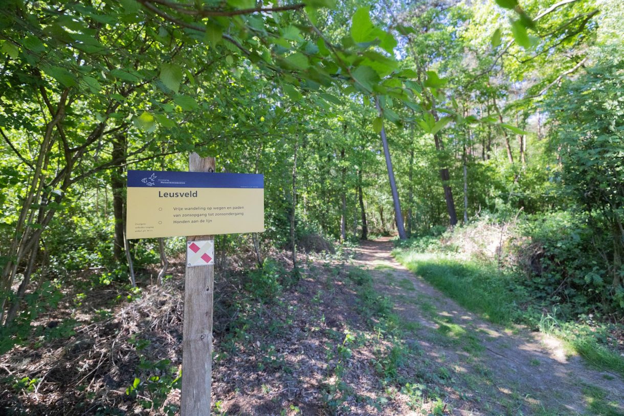 Te koop: Foto Woonhuis aan de Hogestraat 3 in Hall