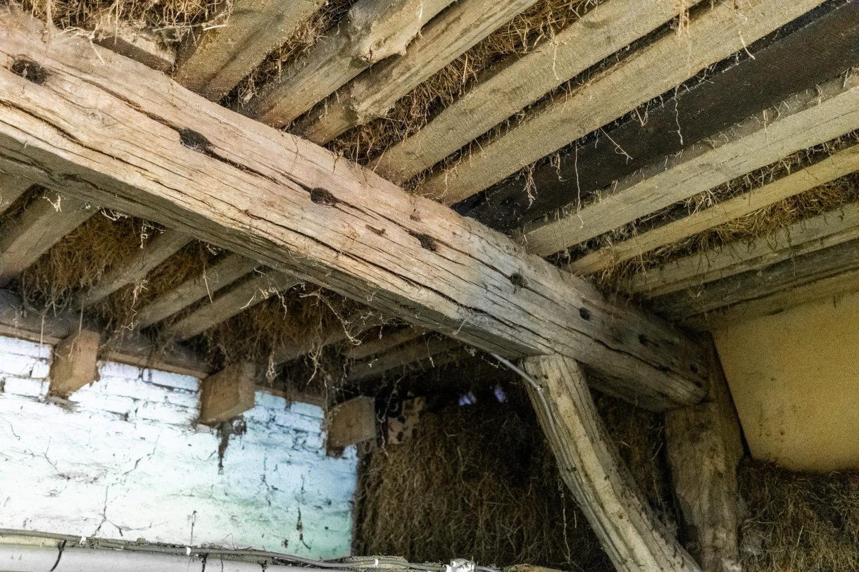 Te koop: Foto Woonhuis aan de Hogestraat 3 in Hall