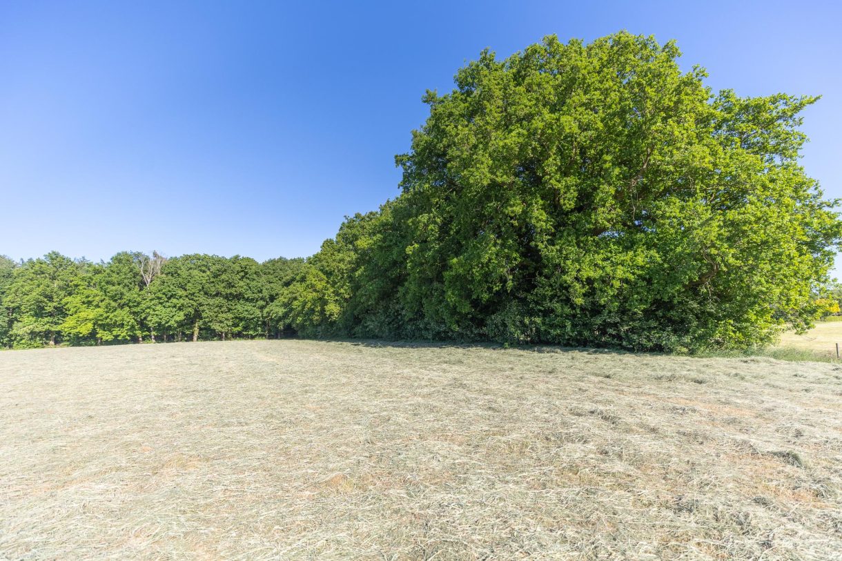 Te koop: Foto Woonhuis aan de Hogestraat 3 in Hall