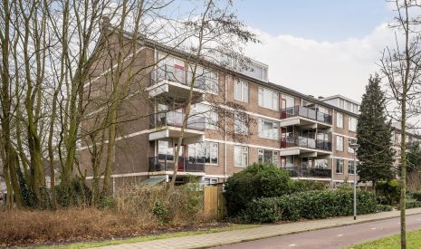 Hoofdfoto van Schiedam Royaardsplein 124