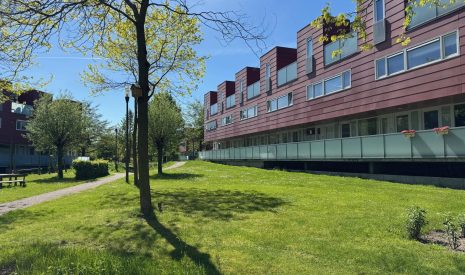 Hoofdfoto van Amersfoort Karper 91