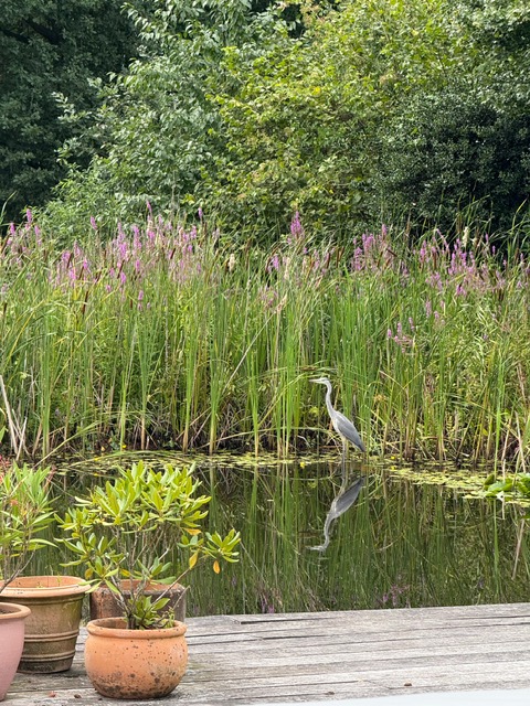 Te koop: Foto Woonhuis aan de Hatertseweg 9 in Malden