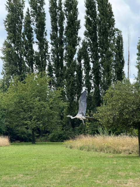 Te koop: Foto Woonhuis aan de Hatertseweg 9 in Malden