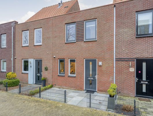 Hoofdfoto van Hoogeveen Citroenvlinder 55