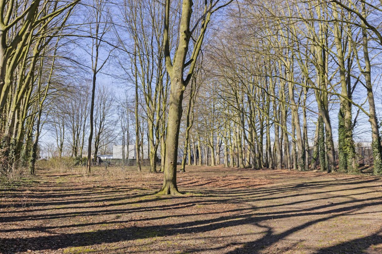 Te koop: Foto Woonhuis aan de Eerste Broekdijk 22 in Aalten