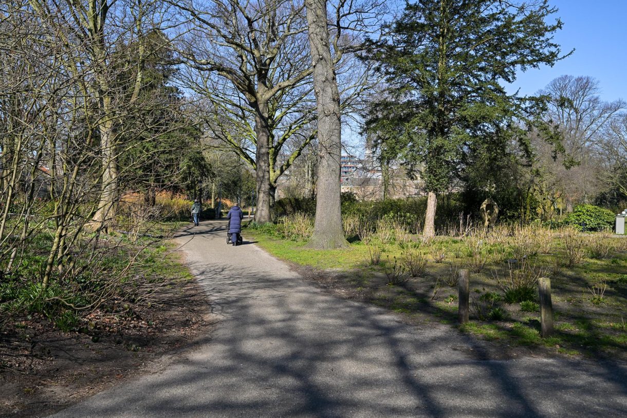 Te koop: Foto Appartement aan de Vondelstraat 115 in 's-Gravenhage
