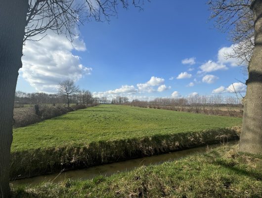 Hoofdfoto van 's Gravenmoer Wielstraat ong