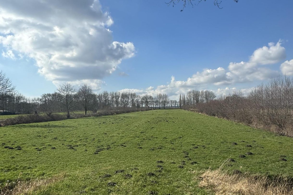 Te koop: Foto Overig OG aan de Wielstraat ong in 's Gravenmoer