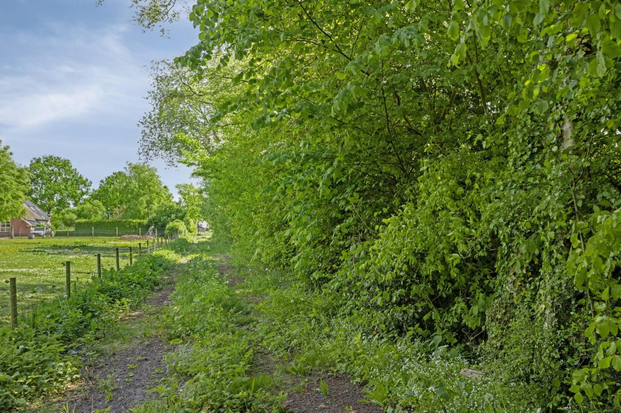 Te koop: Foto Bouwgrond aan de West ong in Buitenpost