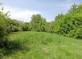 koop  Buitenpost  West ong – Foto 2