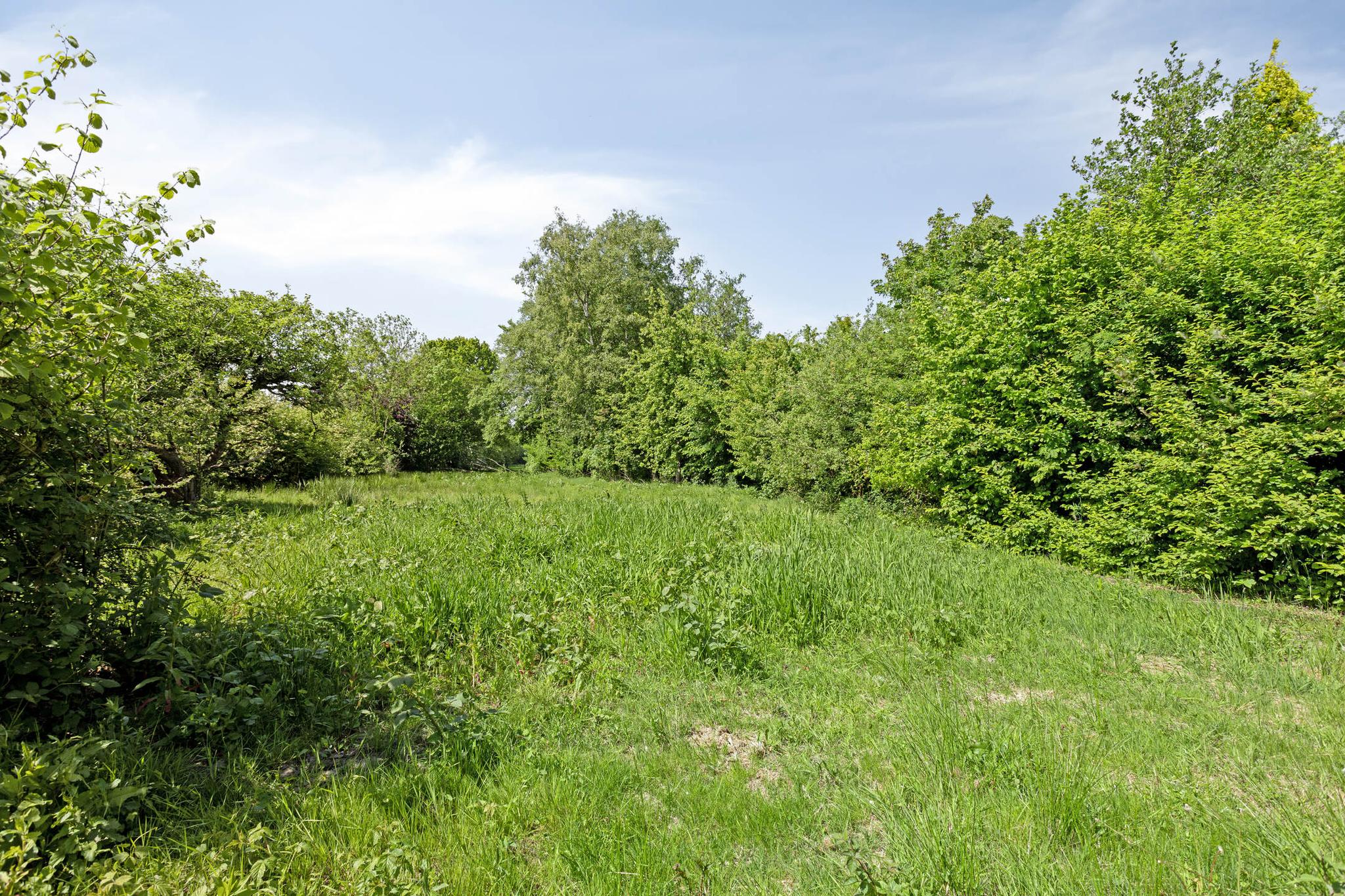 koop  Buitenpost  West ong – Foto 2