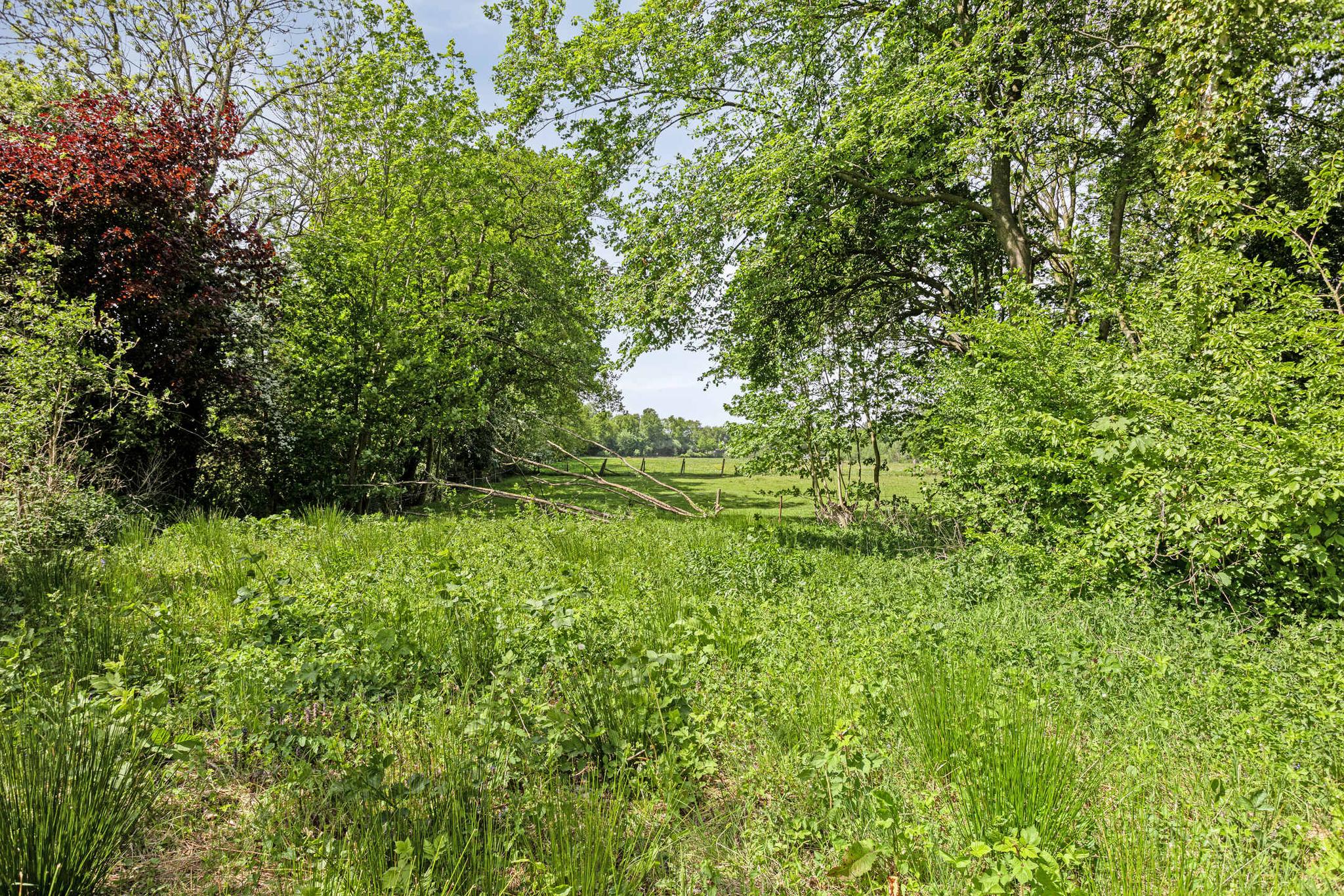 koop  Buitenpost  West ong – Foto