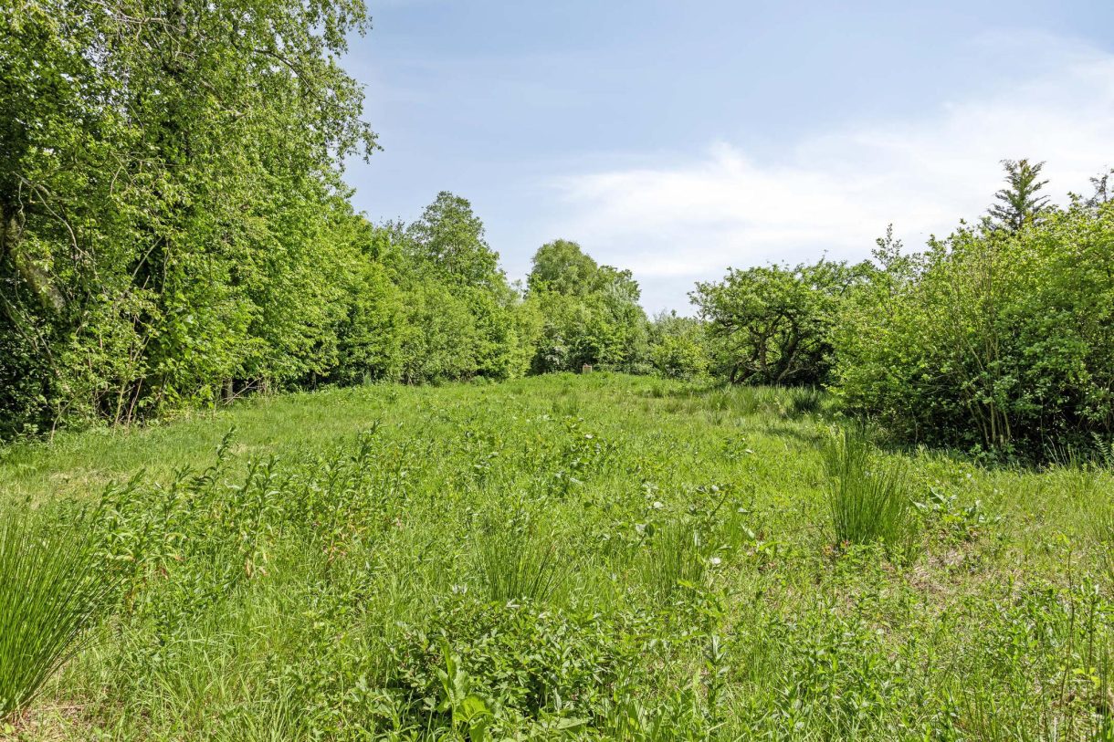 Te koop: Foto Bouwgrond aan de West ong in Buitenpost