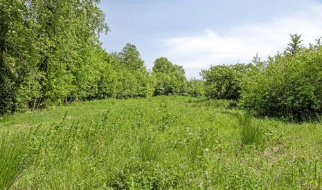 koop  Buitenpost  West ong – Hoofdfoto