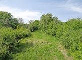 koop  Buitenpost  West ong – Foto 4
