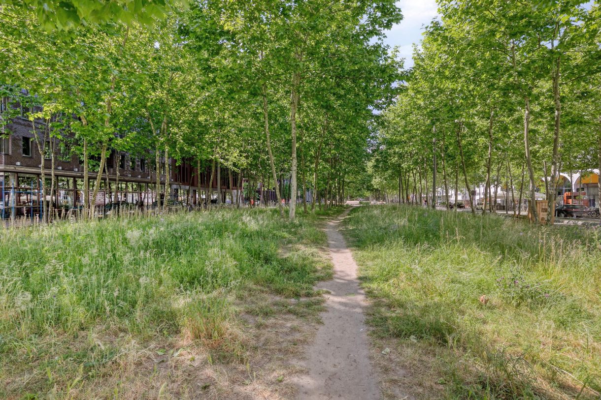 Te koop: Foto Appartement aan de Ir Kalffstraat 295 in Eindhoven