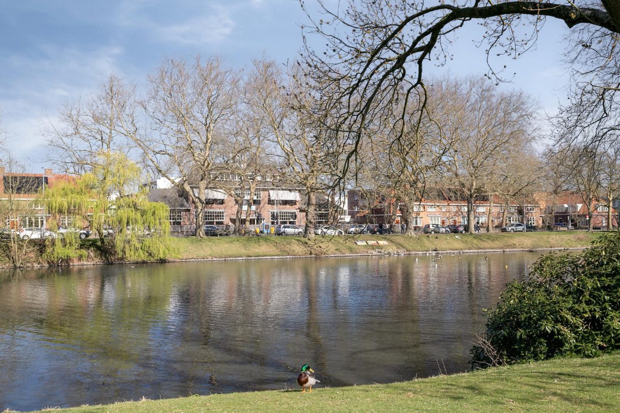Te koop: Foto Appartement aan de Boschdijk 438B in Eindhoven