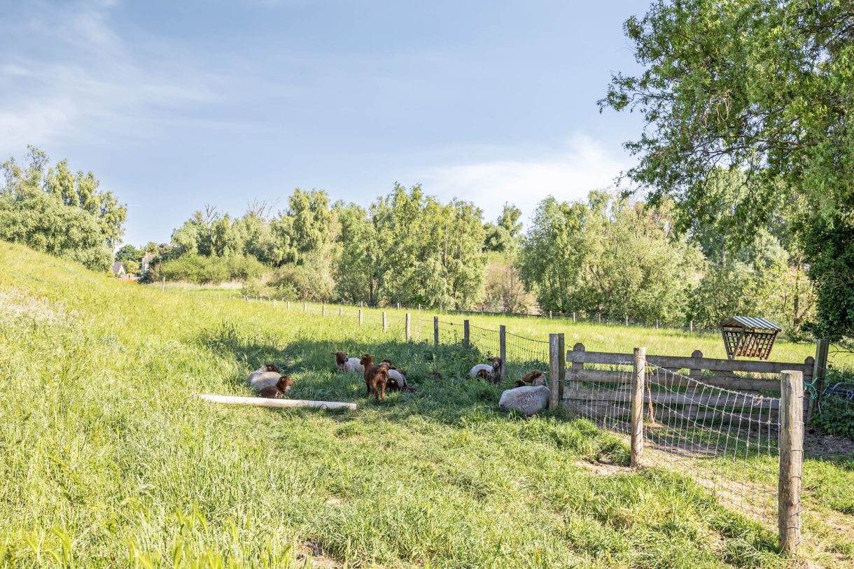 Te koop: Foto Woonhuis aan de Ringkade 33 in Beneden-Leeuwen